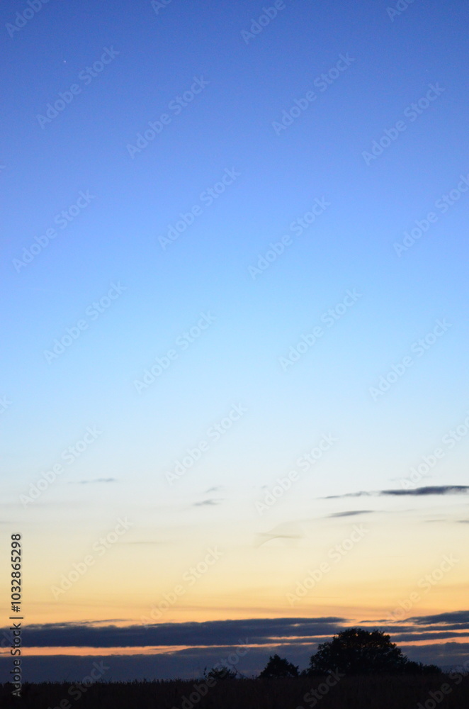 Obraz premium A scenic background of trees on the horizon with the setting sun casting a warm glow. Dramatic clouds stretch across the colorful autumn sky, creating a breathtaking and atmospheric sunset view