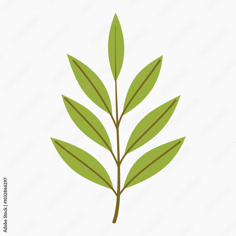 Naklejka premium Green willow leaves vector illustration isolated on white background