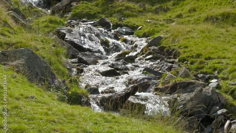 Cascading water flowing down a picturesque mountain stream. Flowing water cascades down a stream through a lush mountain meadow, surrounded by vibrant grass and rocky outcrops Cascading water flowing down a picturesque mountain stream. Flowing water cascades down a stream through a lush mountain meadow, surrounded by vibrant grass and rocky outcrops