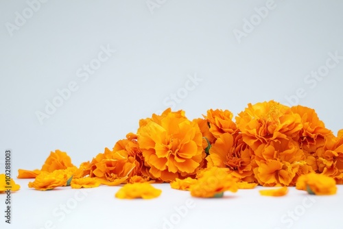 A collection of bright marigold flowers is thoughtfully scattered against a light backdrop capturing the essence of Diwali festivities and showcasing traditional decor elements photo