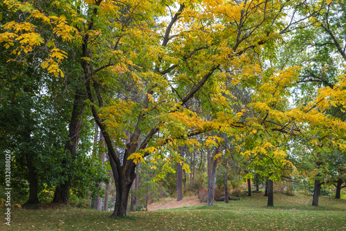 Manito Park