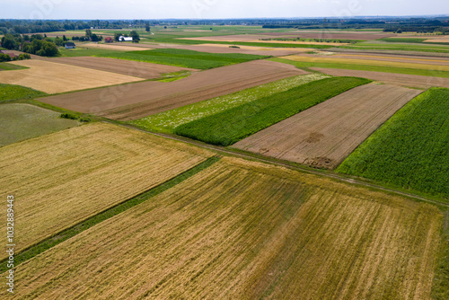 Aerial view of vibrant agricultural fields with various colors and textures, showcasing the beauty of rural landscapes.