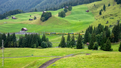 クライネシャイデックからヴェンゲンへのトレッキング　ヴェンゲルンアルプ鉄道がある景色ヴェンゲン　グリンデルワルト　スイス