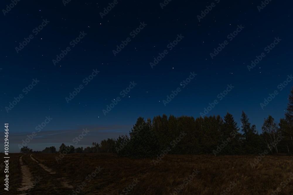 Clear Night Sky with Bright Stars Above a Rural Field and Forest Path in a Calm Countryside Setting Clear Night Sky with Bright Stars Above a Rural Field and Forest Path in a Calm Countryside Setting