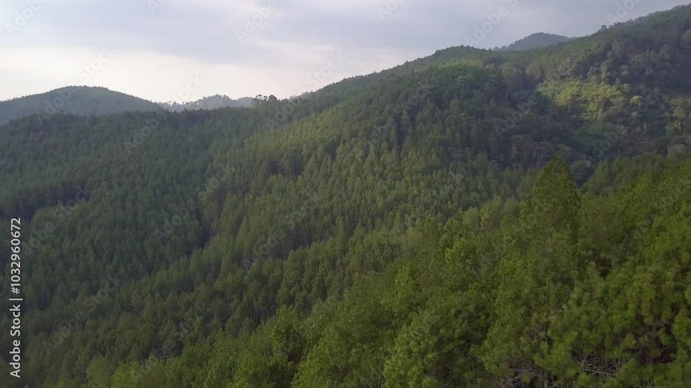 Landscape of beautiful mountain and forest nature at Lembang, Bandung, West Java, Indonesia. Wide drone shot. Landscape of beautiful mountain and forest nature at Lembang, Bandung, West Java, Indonesia. Wide drone shot.