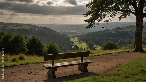 A wooden bench sits on a dirt path overlooking a valley with green hills and trees under a cloudy sky.