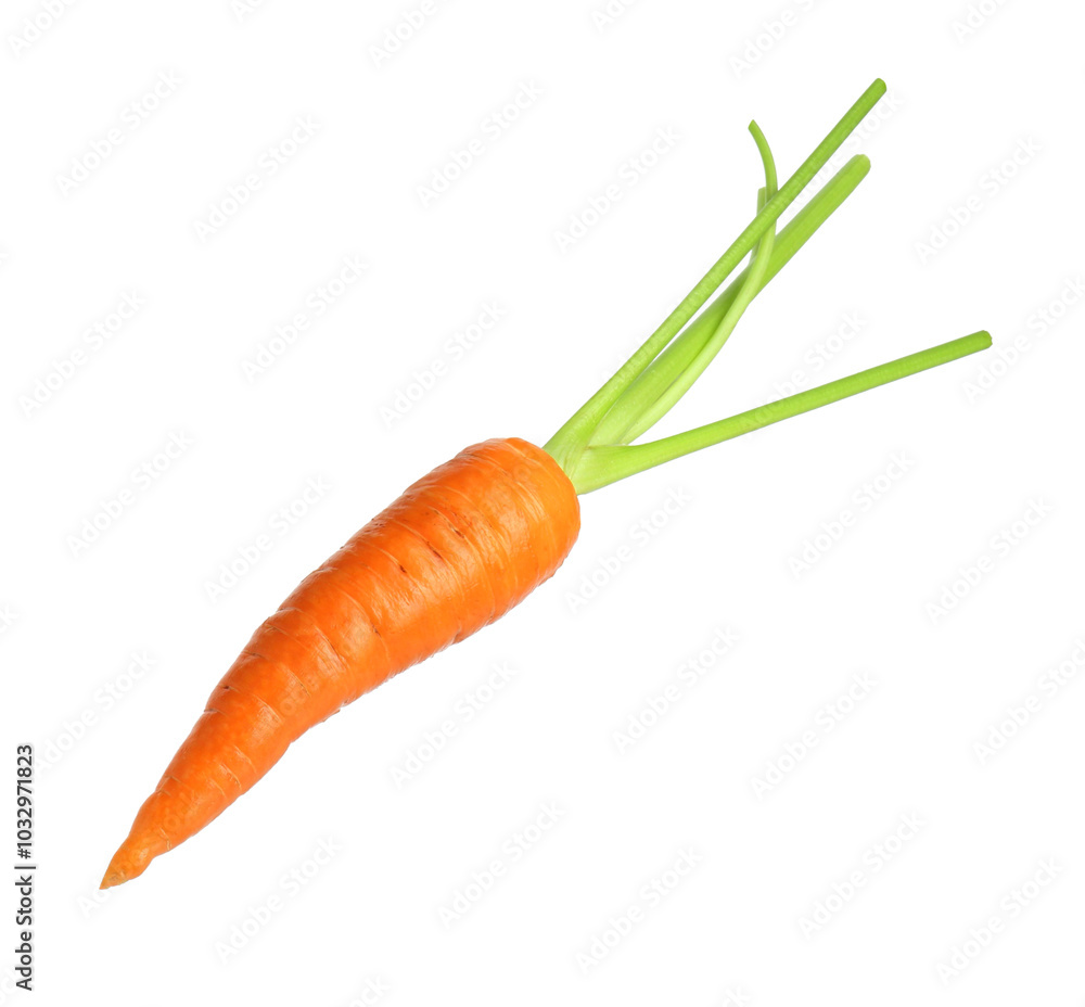 One fresh ripe carrot isolated on white One fresh ripe carrot isolated on white
