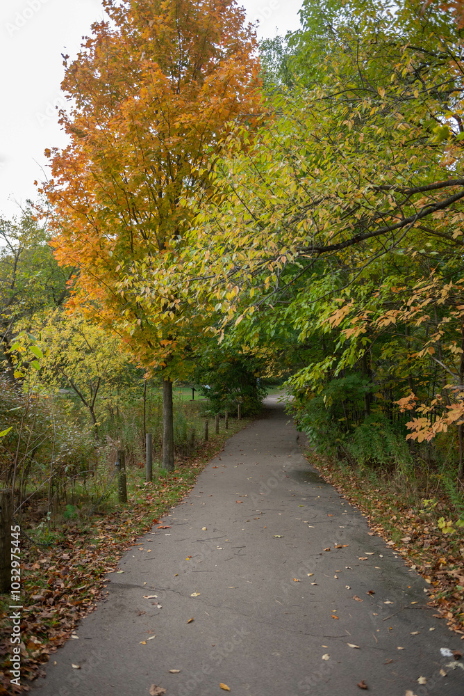 Naklejka premium path in autumn park