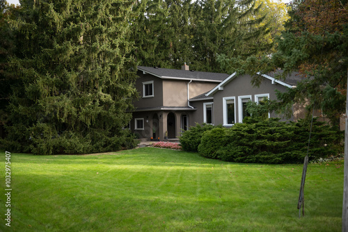 house in the woods