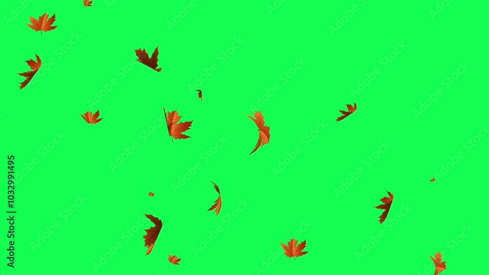 Falling leaves in spring on green screen background Falling leaves in spring on green screen background