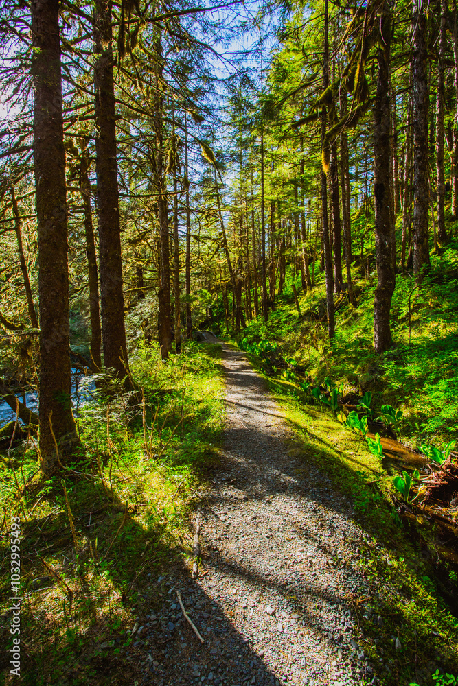 Spring Hiking in Juneau, Alaska Spring Hiking in Juneau, Alaska