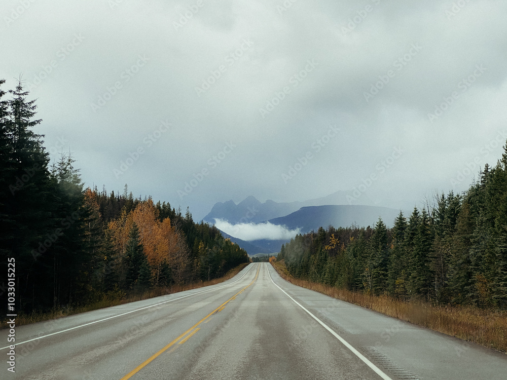 Naklejka premium Road in Canadian Rockies, Alberta, Canada. Cloudy day.