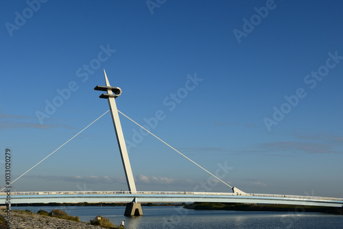 葛西渚橋　葛西臨海公園 photo