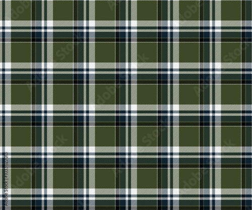 Plaid fabric pattern, green, blue, white, seamless for textile and design clothes skirt pants apron tablecloth blanket or decoration. Vector illustration.