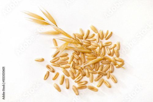 ripe oatmeal ears and oat grains isolated on white background.