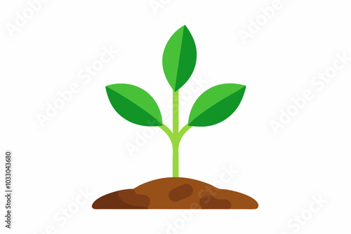 
Green plant grown from the soil of the earth