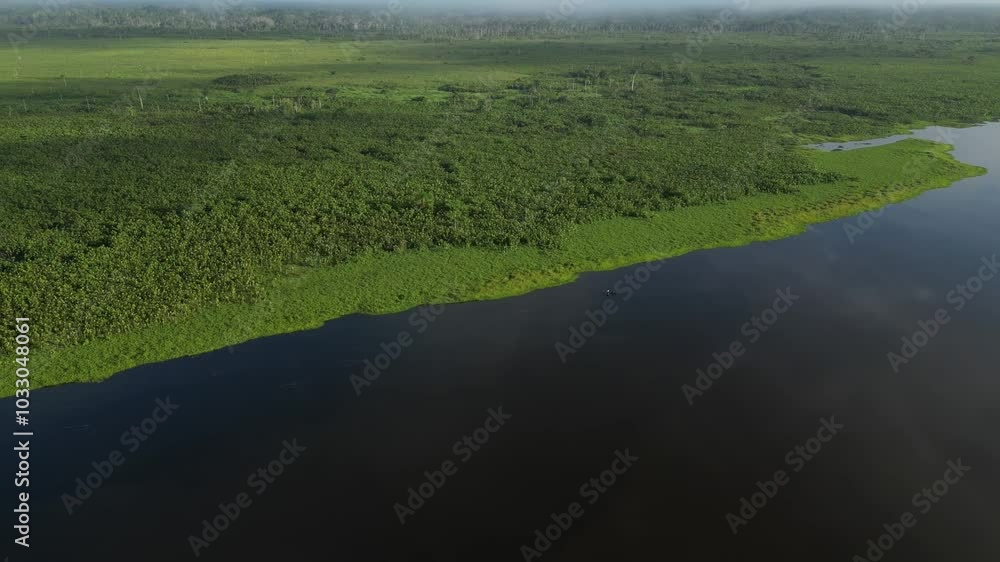 Aerial view of the Amazon rivers of the Peruvian jungle, a drone view of the Amazon rainforest surrounded by water Aerial view of the Amazon rivers of the Peruvian jungle, a drone view of the Amazon rainforest surrounded by water