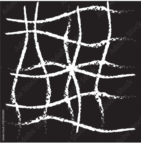 black and white spider