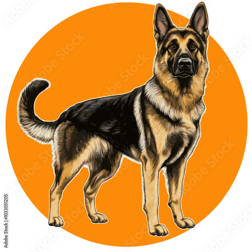 Realistic Full Body Vector Illustration of a German Shepherd Dog - Detailed and Majestic Canine Design for Pet and Animal-Themed Stock Art