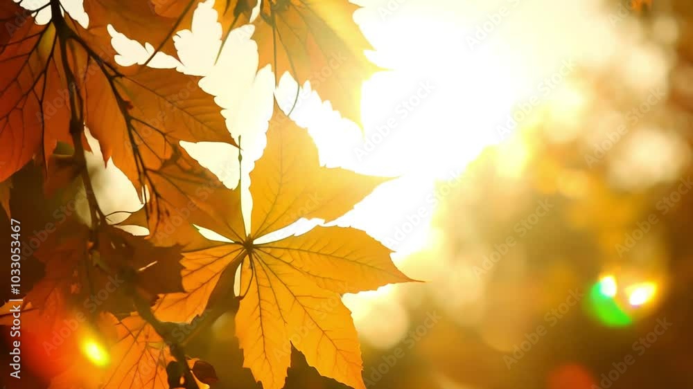 Autumn trees with colorful foliage in a serene landscape Autumn trees with colorful foliage in a serene landscape