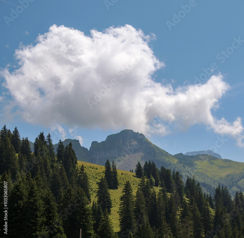 Mountain Peak In Summer