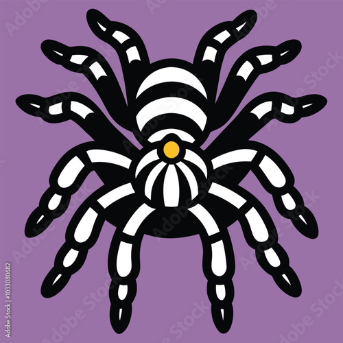 Solid color Zebra Tarantula animal vector design