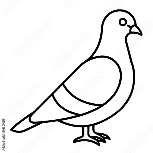 illustration of a pigeon