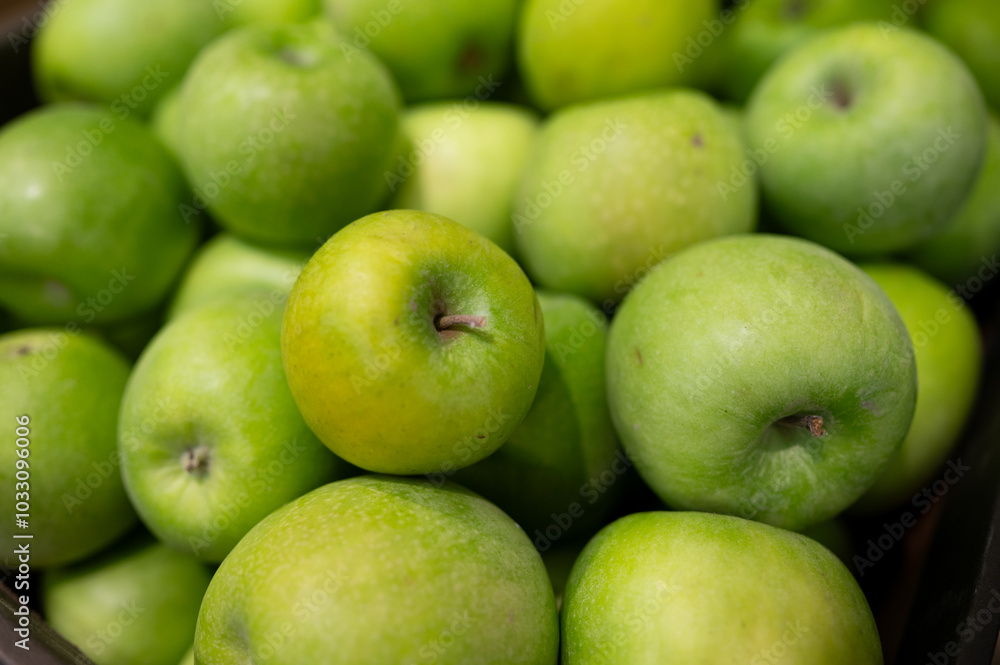 A pile of green apples in the supermarket. Agriculture. Eco-friendly product A pile of green apples in the supermarket. Agriculture. Eco-friendly product