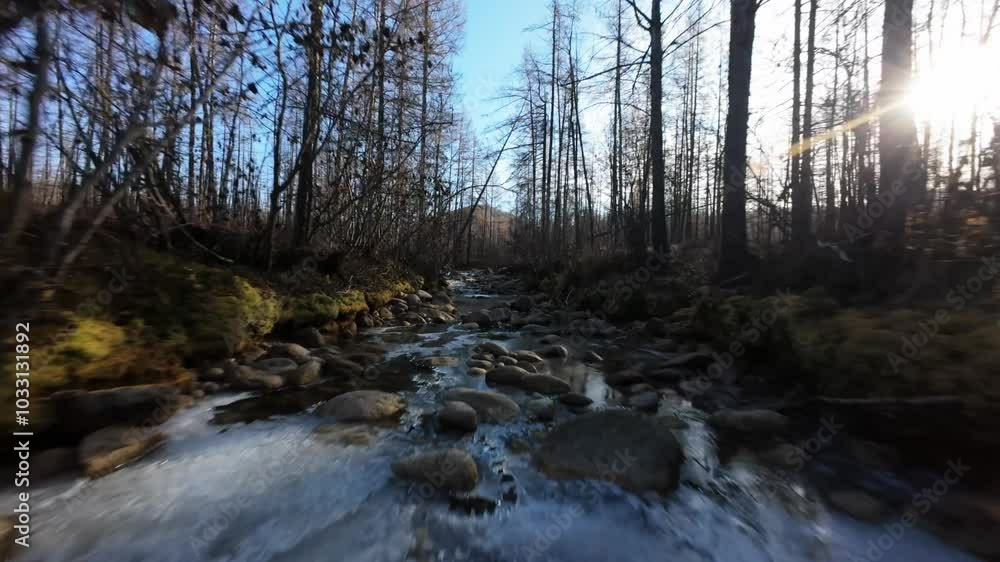 Wander through the stunning rivers and ancient forests of Yakutia, where the tranquil beauty of untouched nature unfolds under soft autumn sunlight and flowing waters. Wander through the stunning rivers and ancient forests of Yakutia, where the tranquil beauty of untouched nature unfolds under soft autumn sunlight and flowing waters.