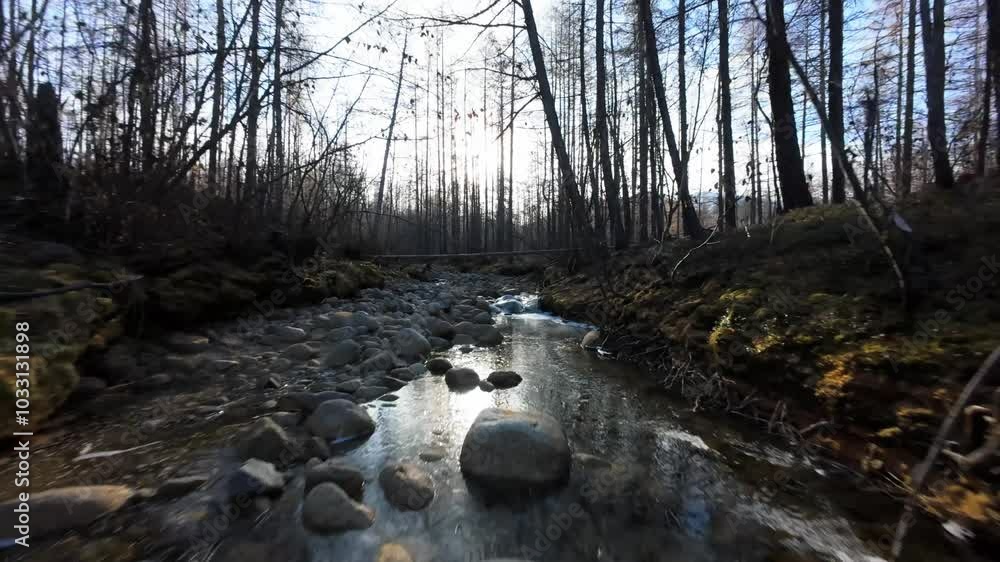 Witness the tranquil river winding through Yakutia's enchanting wilderness, captured from a drone as dawn breaks. The sunlight dances on water, revealing nature's untouched beauty. Witness the tranquil river winding through Yakutia's enchanting wilderness, captured from a drone as dawn breaks. The sunlight dances on water, revealing nature's untouched beauty.
