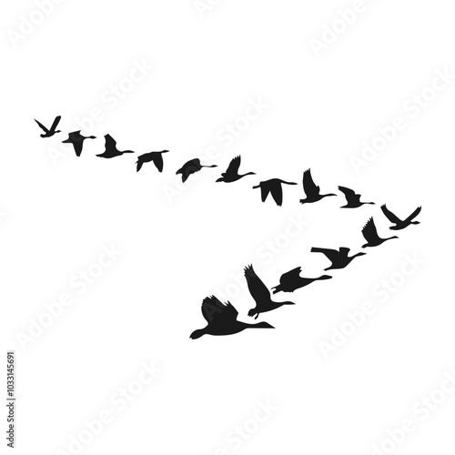 Illustration of a Flock of Birds Flying Silhouette