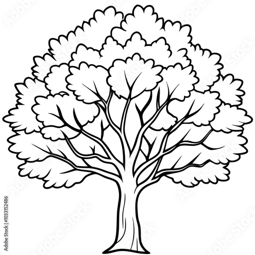 American sycamore line art

Plant on a white background