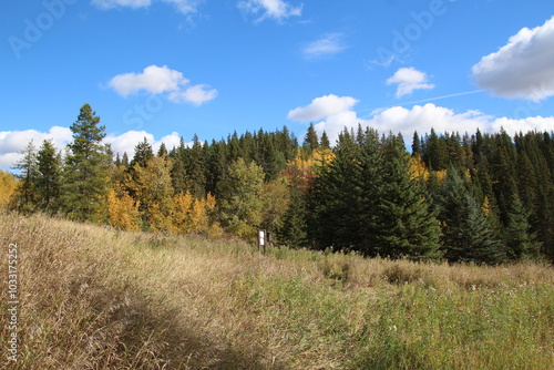 Autumn Day In The Park, Whitemud Park, Edmonton, Alberta