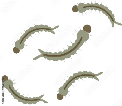 Mosquito larvae