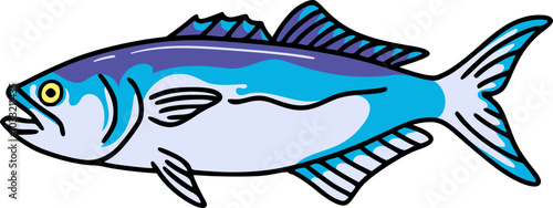Vector Illustration of Bluefish Saltwater Fish