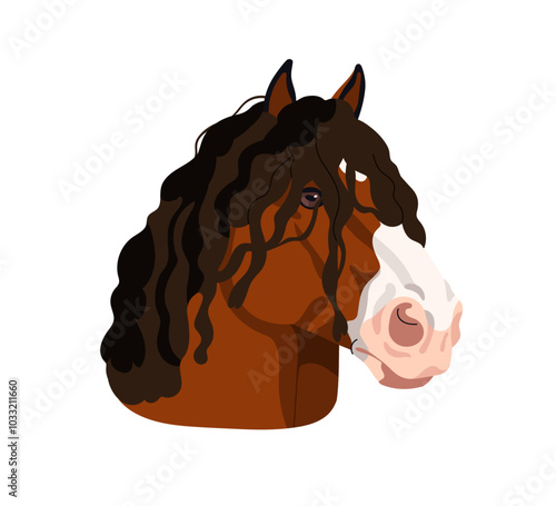 Shire, Vladimir heavy draft horse, head portrait. Working draught breed with shaggy mane. Equine animal avatar, thoroughbred, face portrait. Flat vector illustration isolated on white background