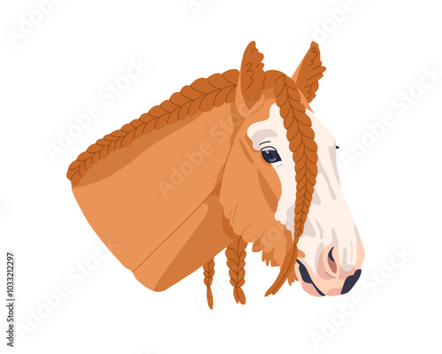 Gypsy Cob horse head with braided hair, mane. Beautiful bicolor stallion. Purebred thoroughbred equine animal, steed avatar, face portrait. Flat vector illustration isolated on white background