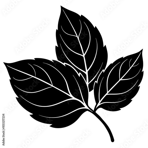 silhouette of a leaf