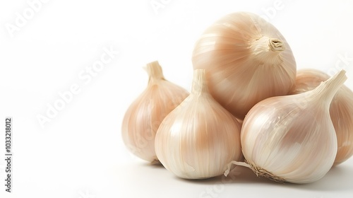 Image of raw sepia isolated on clear white background. 