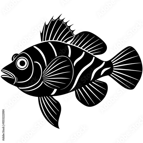 black and white fish