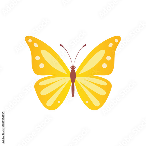 Butterfly Drawing Design Vector realistic isolated beauty butterfly insect icon