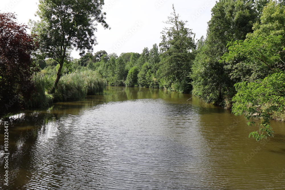 La rivière le Thouet, ville de Parthenay, département des Deux Sèvres, France
