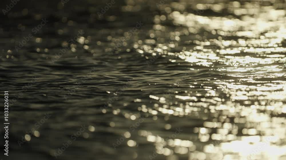 Soft sunset light on small ocean waves, peaceful water scene with golden reflections and gentle ripples, shallow depth of field Soft sunset light on small ocean waves, peaceful water scene with golden reflections and gentle ripples, shallow depth of field