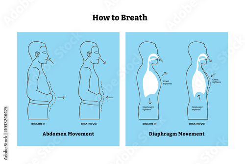 Set of breathing step by step guide poster design, abdomen movement and diaphragm movement, Diaphragmatic deep breathe exercise techniques for stress relief or relax and lung anatomy medical.