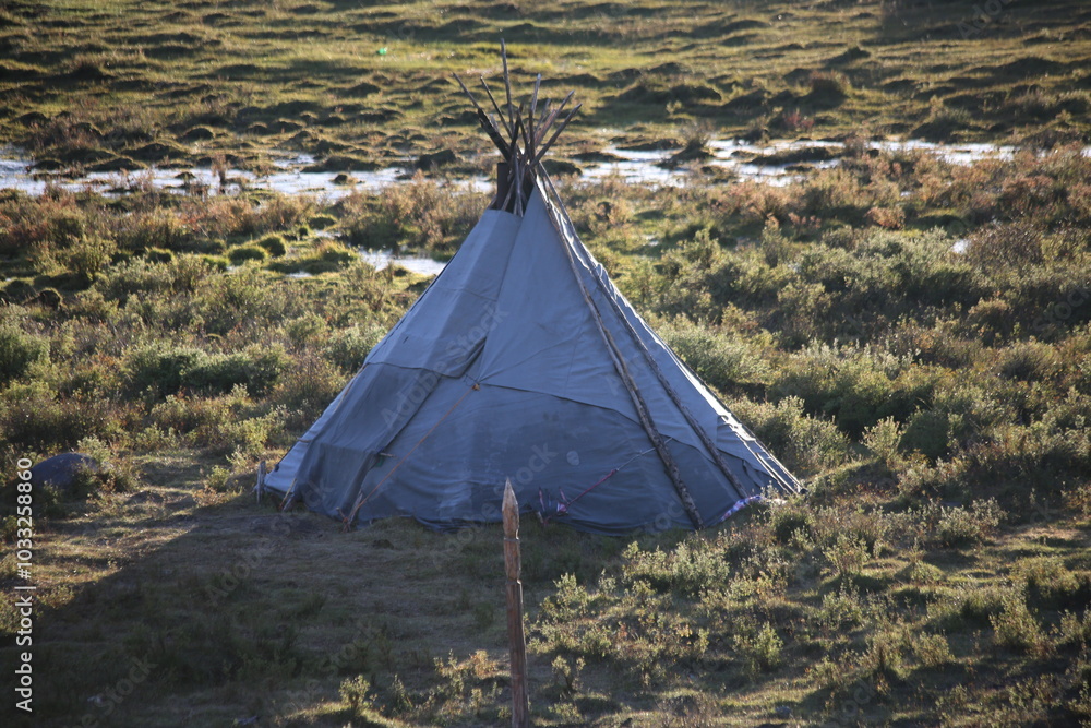 Obraz premium deer, reindeer, fawn, grand deer, antler, asia, russia, new year, christmas, tent wildlife, mongolia
