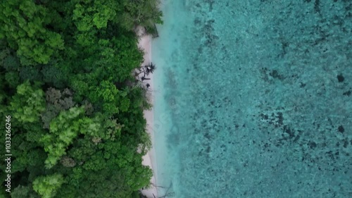 Wallpaper Mural 무성한 숲이 있는 해변가의 맑은 에메랄드빛 바다 Torontodigital.ca