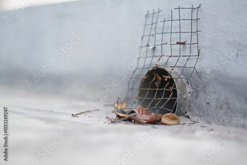 An open water pipe covered with wire and dry leaves almost covering the hole.