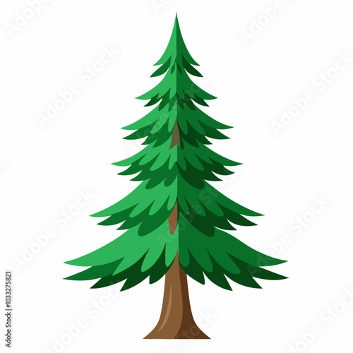 spruce vector illustration on a white background
