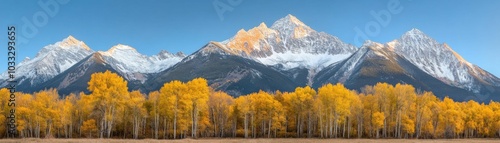 A row of golden autumn trees standing before towering snow-covered mountain peaks under a clear blue sky, showcasing nature's contrast.