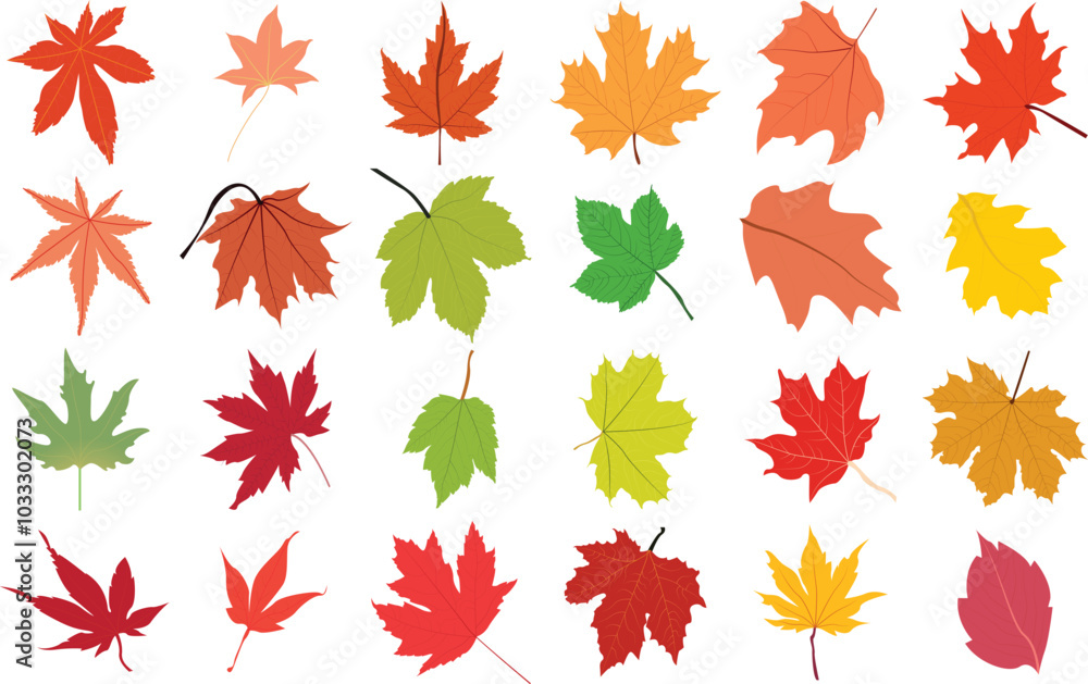 Obraz premium Colorful maple leaf vector icon set illustration.